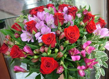 red roses with purple alstromeries  (30 stems)